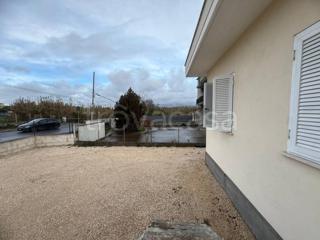 immagine annuncio 12 di 14