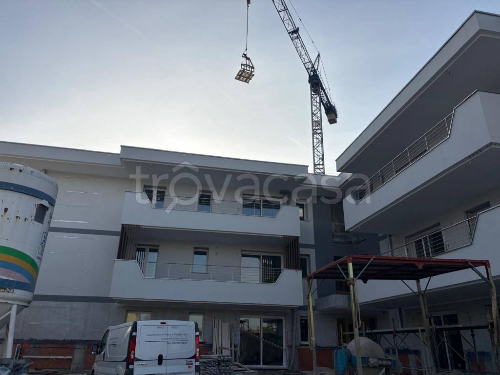 immagine annuncio 6 di 15