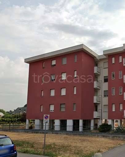 immagine annuncio 6 di 15