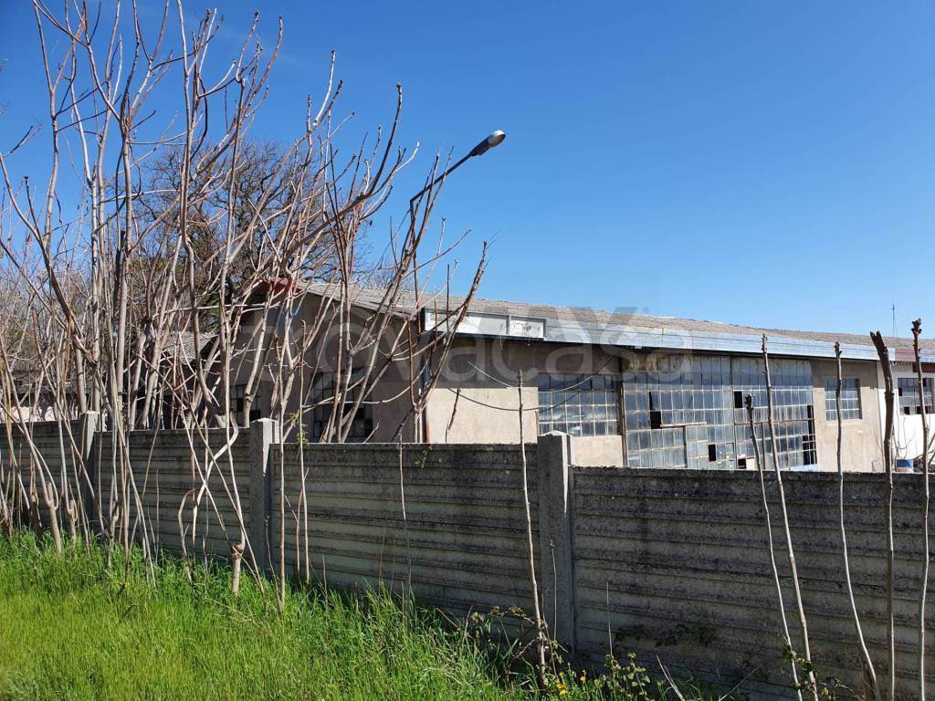 immagine annuncio 1 di 11