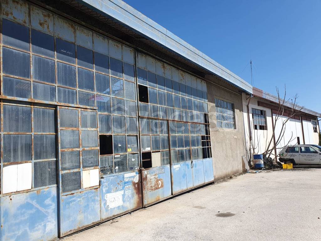 immagine annuncio 4 di 11