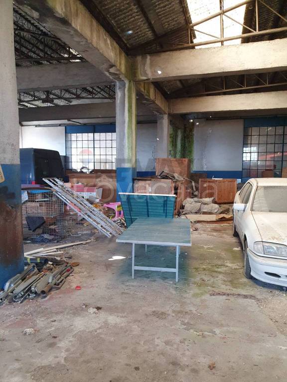 immagine annuncio 5 di 11