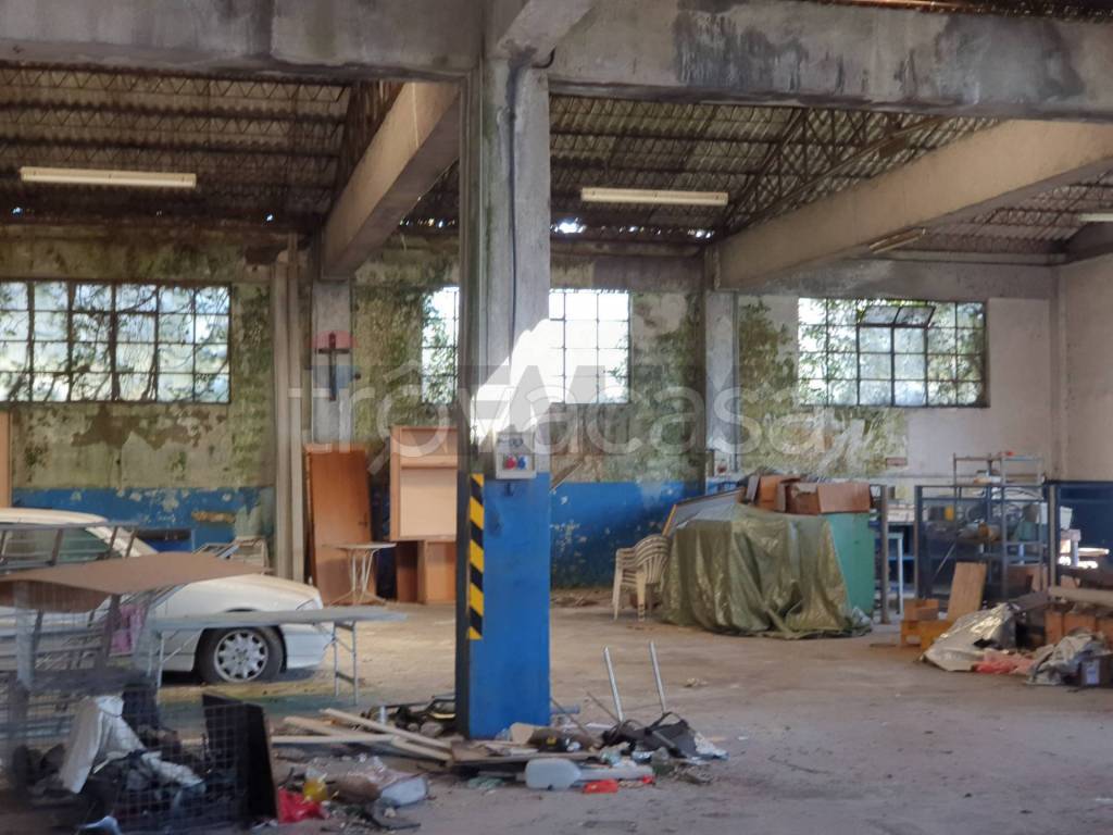 immagine annuncio 7 di 11