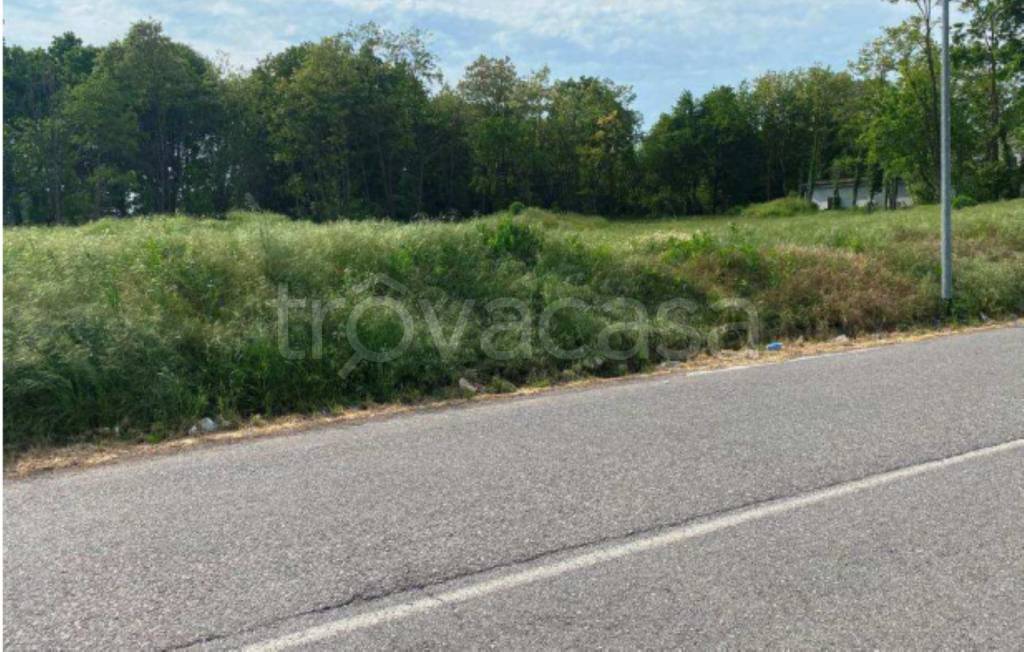 immagine annuncio 5 di 11