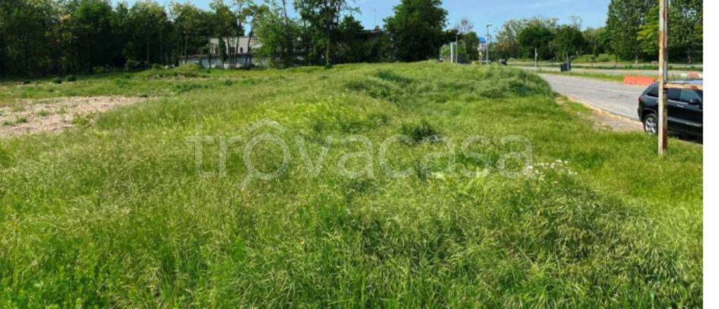 immagine annuncio 6 di 11