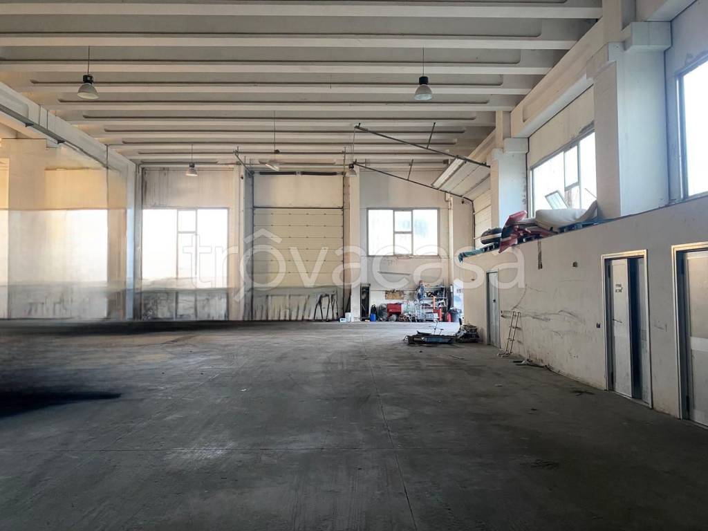 immagine annuncio 4 di 7