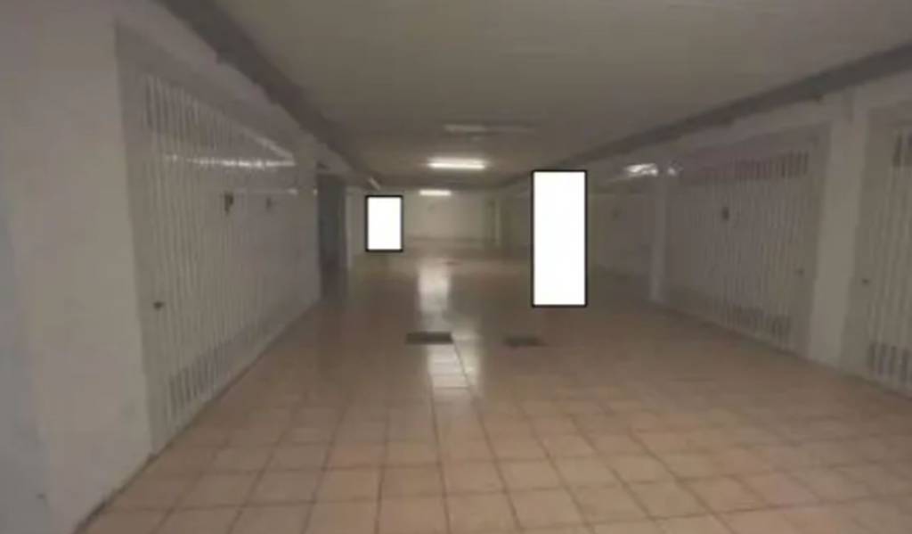 immagine annuncio 4 di 14