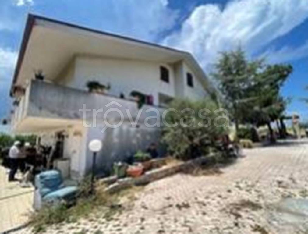 immagine annuncio 5 di 11