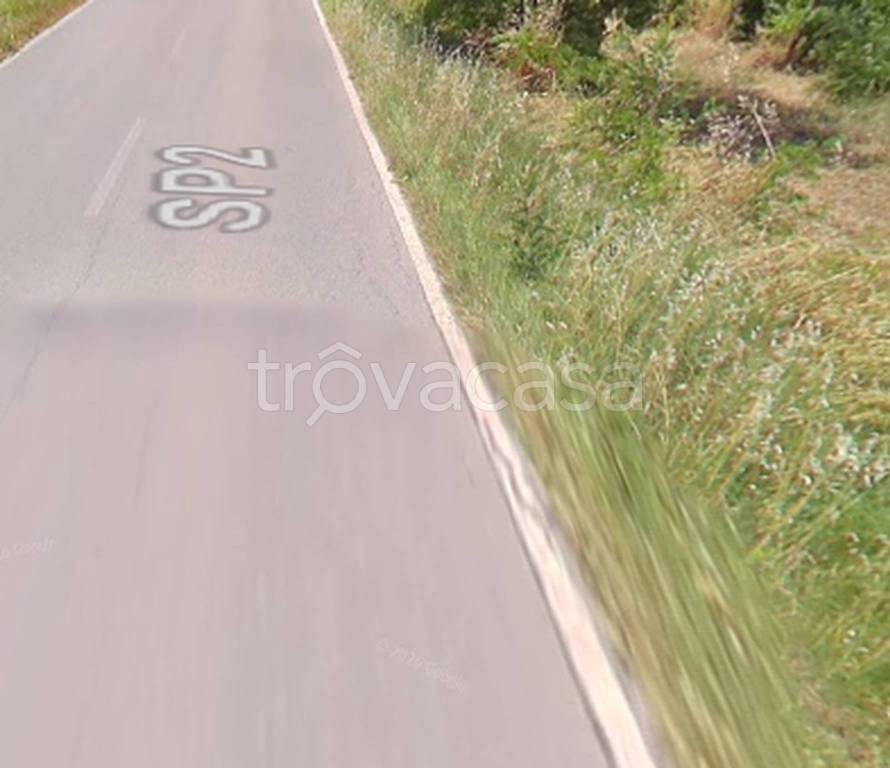 immagine annuncio 7 di 11