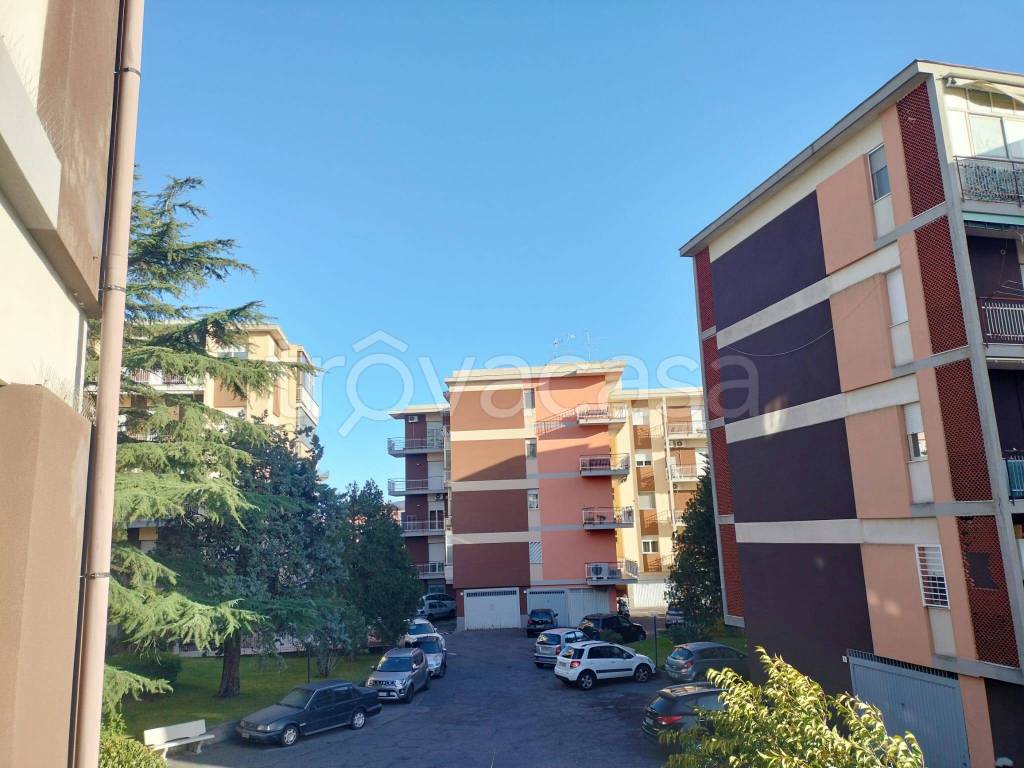 immagine annuncio 9 di 13