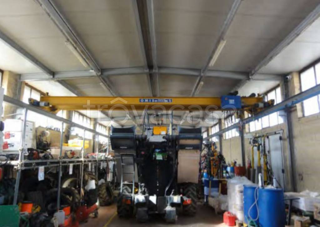 immagine annuncio 1 di 10