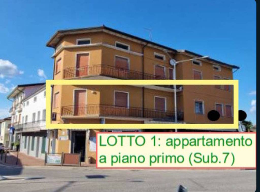 immagine annuncio 6 di 12