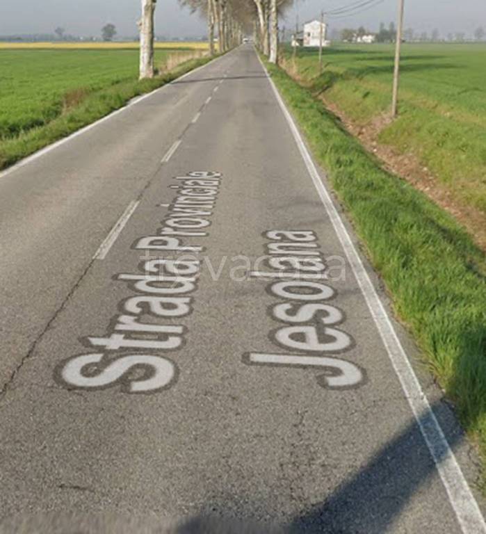 immagine annuncio 7 di 12