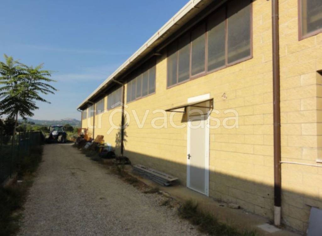 immagine annuncio 8 di 10