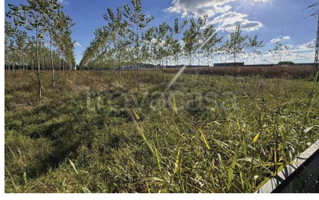 immagine annuncio 5 di 10