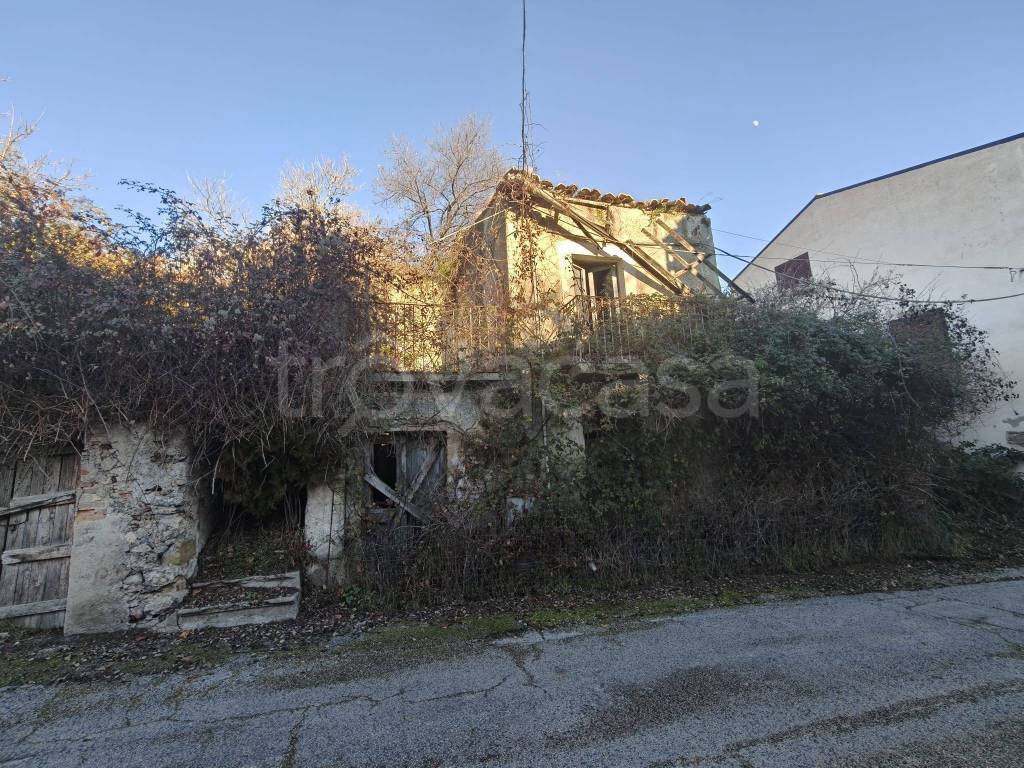 immagine annuncio 2 di 7