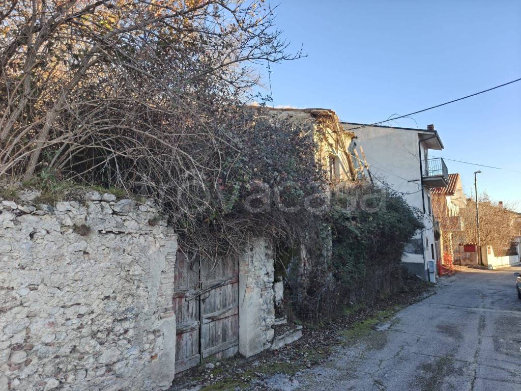 immagine annuncio 4 di 7