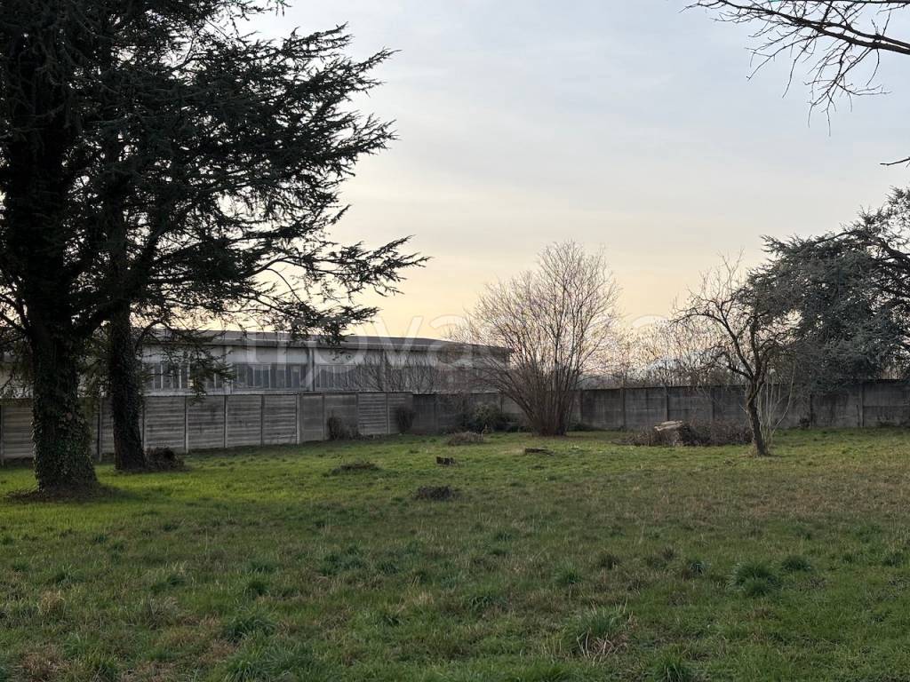 immagine annuncio 1 di 9