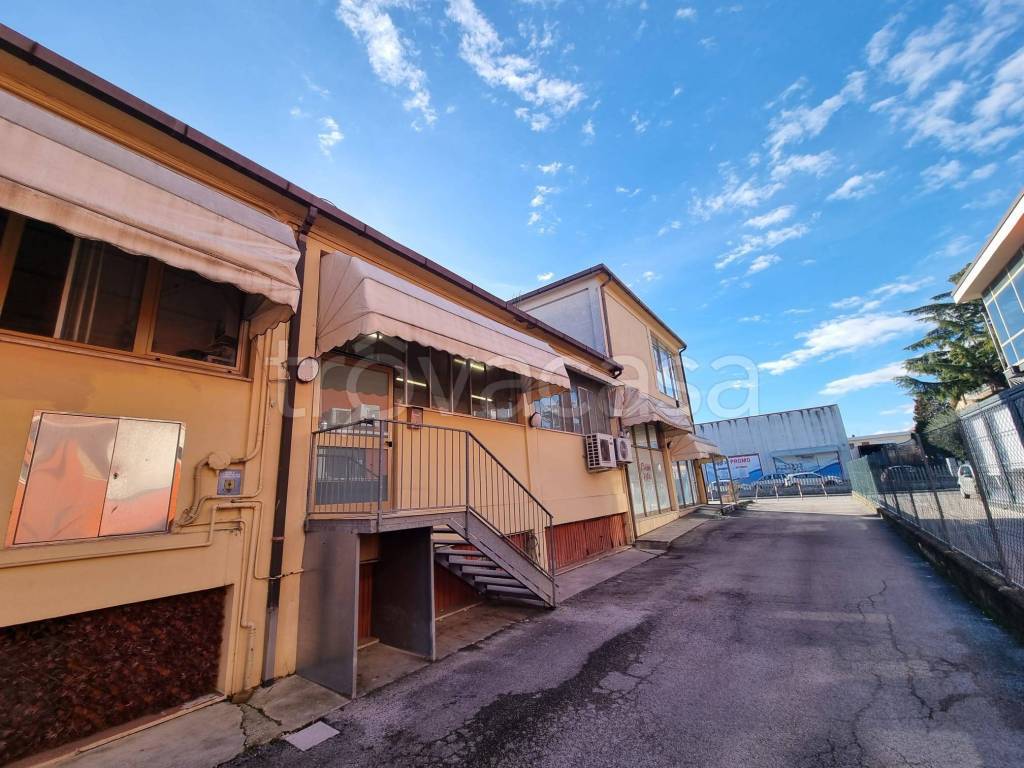 immagine annuncio 3 di 7