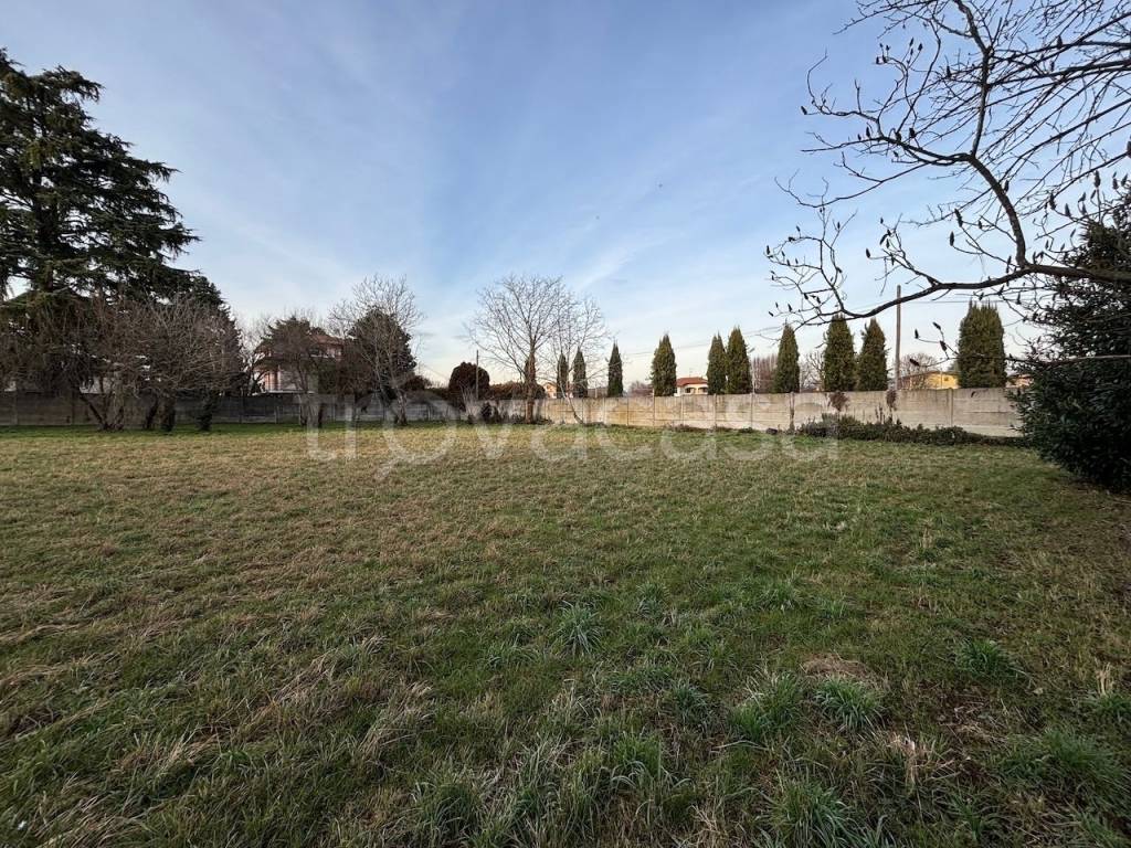 immagine annuncio 2 di 9