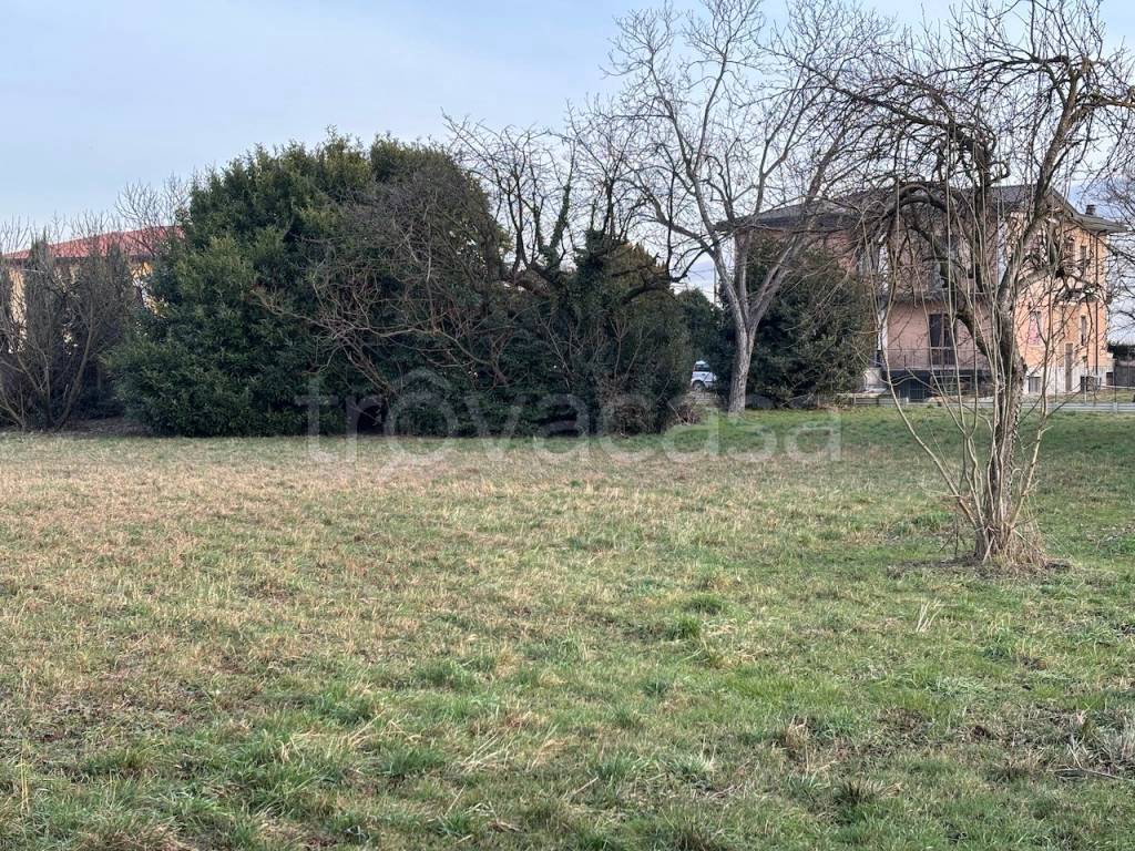 immagine annuncio 3 di 9