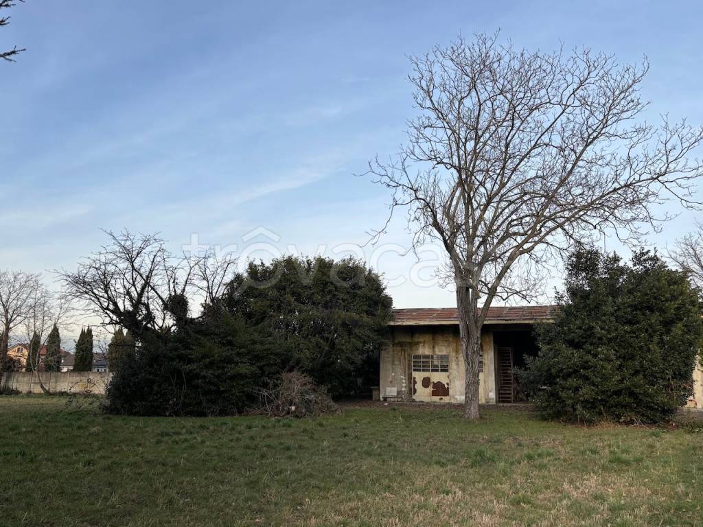 immagine annuncio 4 di 9