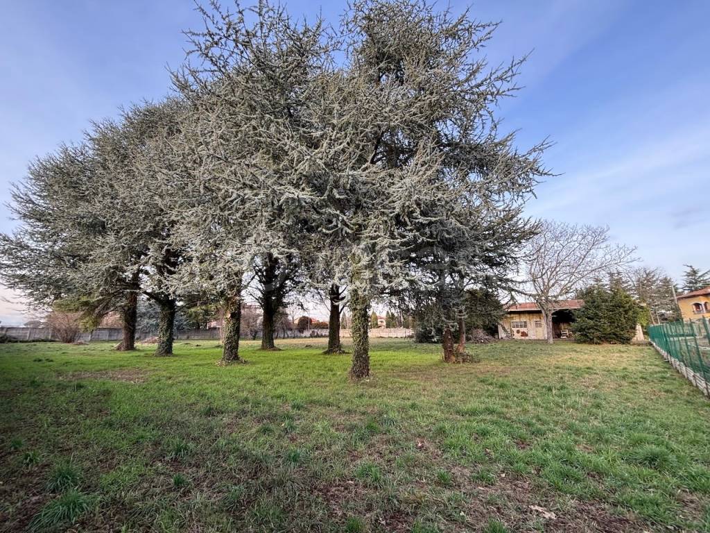 immagine annuncio 8 di 9