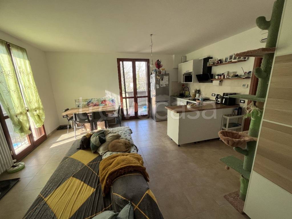 immagine annuncio 1 di 7