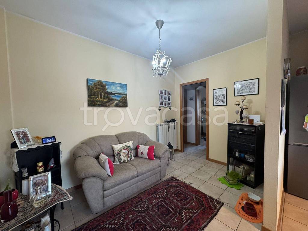 immagine annuncio 3 di 6