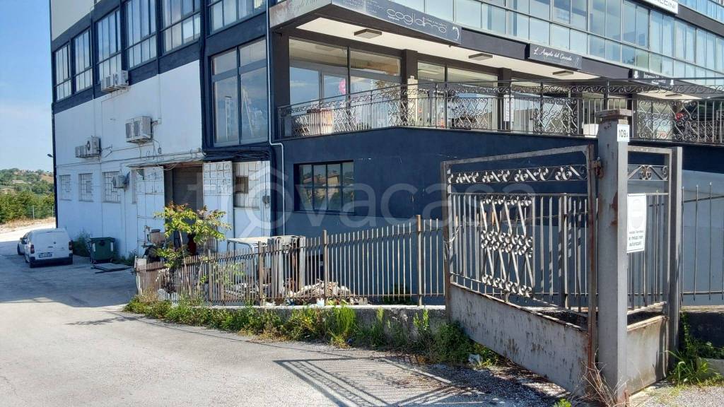 immagine annuncio 1 di 12