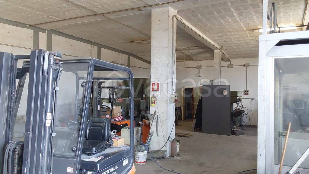 immagine annuncio 7 di 12