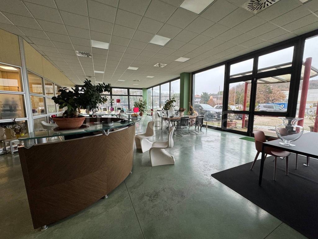 immagine annuncio 11 di 15