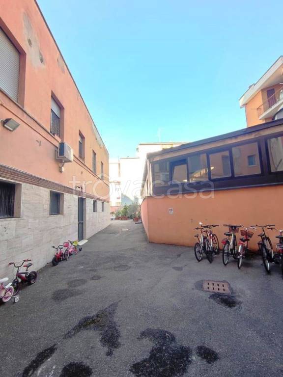 immagine annuncio 12 di 14