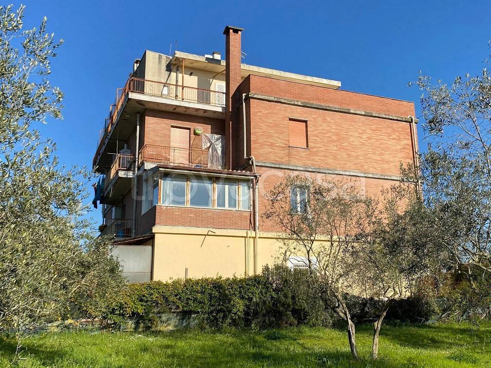 immagine annuncio 2 di 7