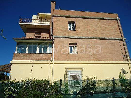 immagine annuncio 3 di 7