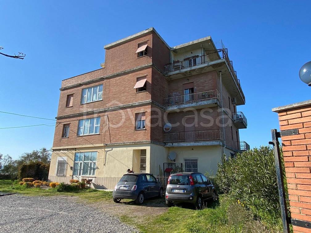 immagine annuncio 4 di 7