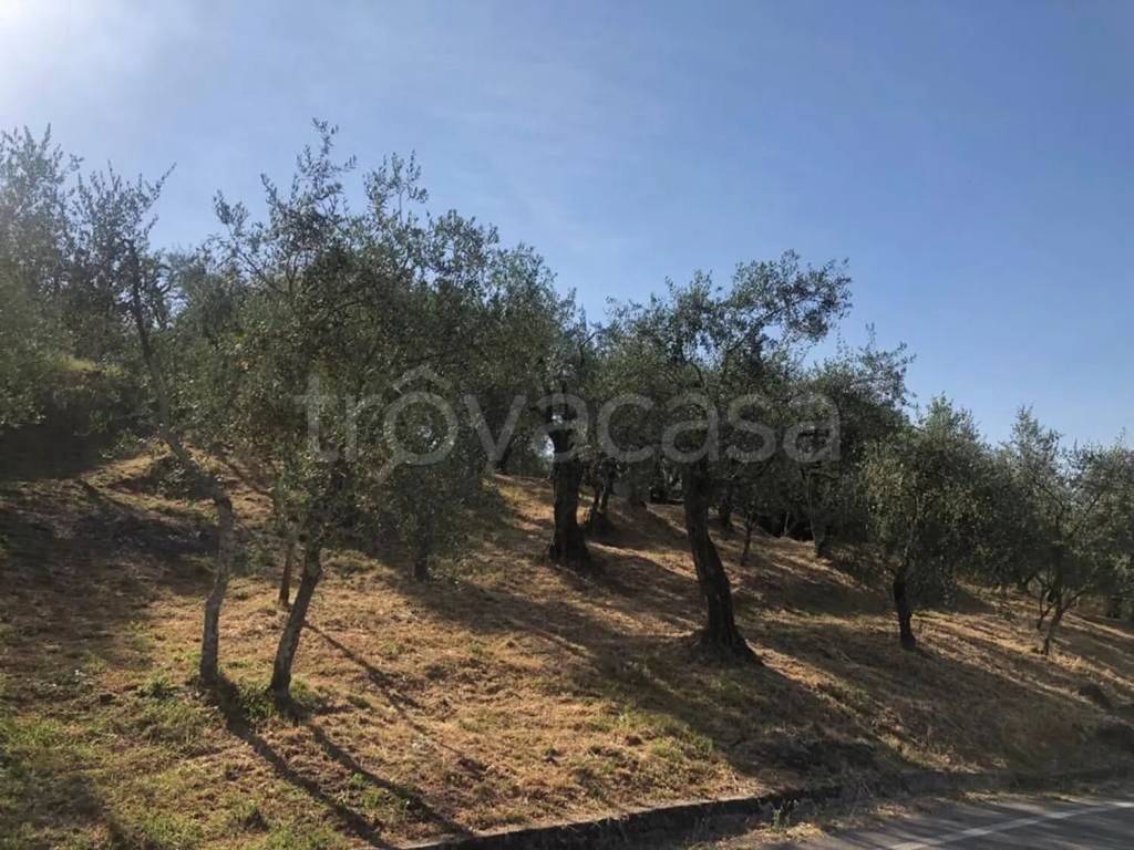 immagine annuncio 2 di 6