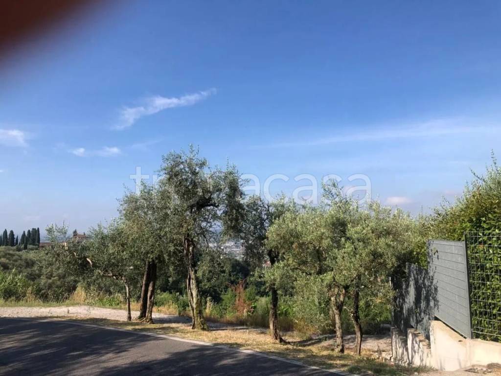 immagine annuncio 3 di 6