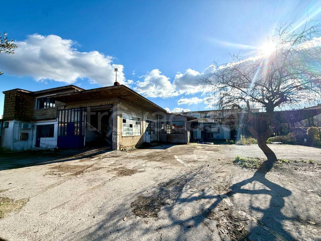 immagine annuncio 1 di 13