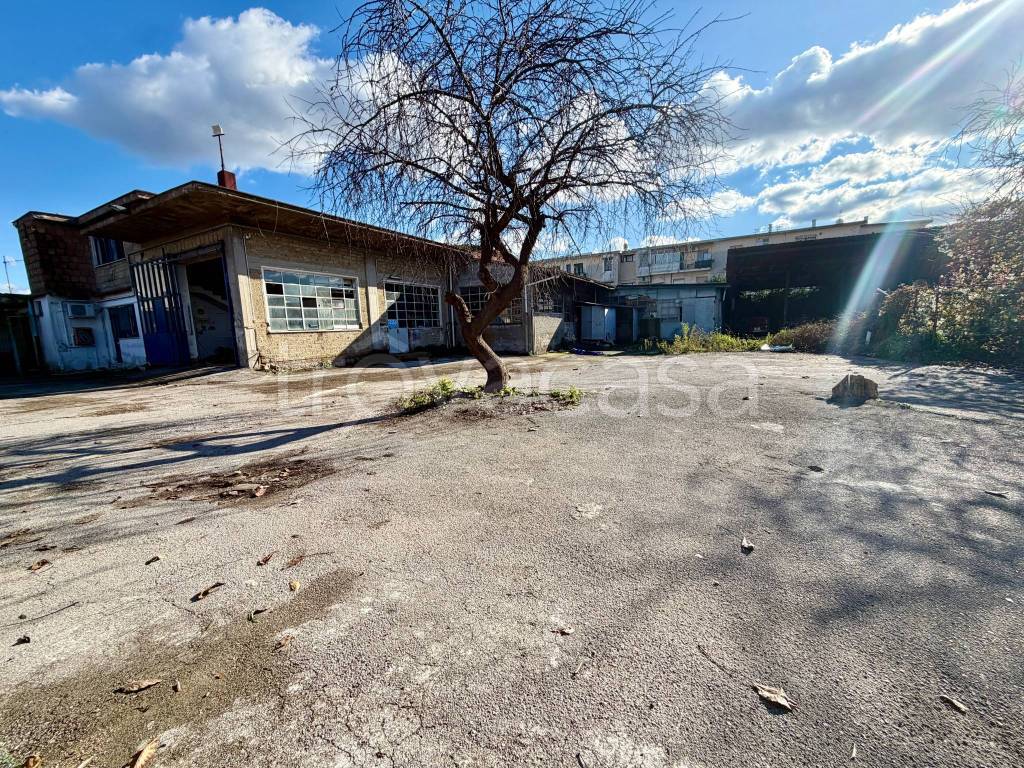 immagine annuncio 2 di 13