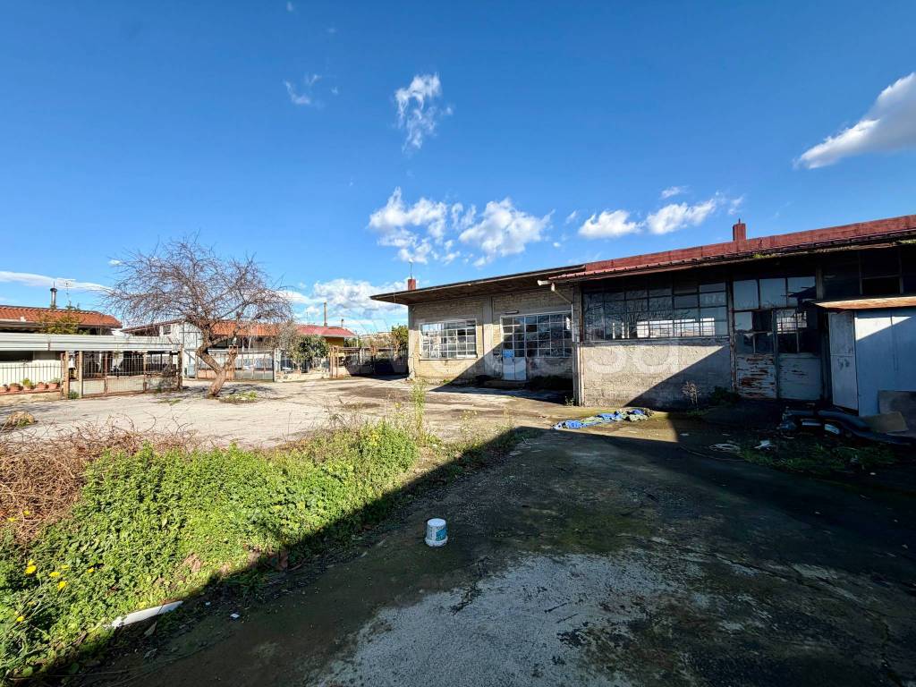 immagine annuncio 12 di 13