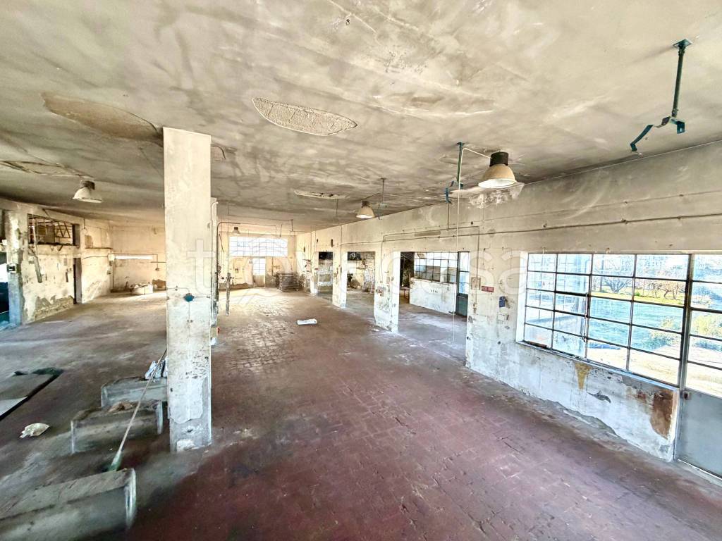 immagine annuncio 5 di 13