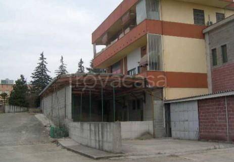 immagine annuncio 1 di 6