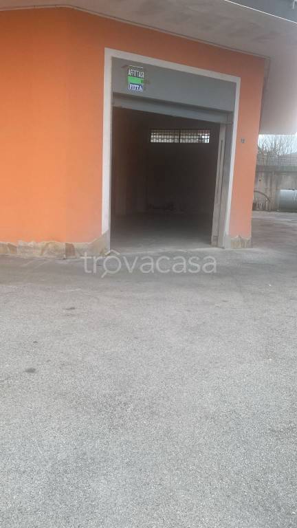 immagine annuncio 7 di 13