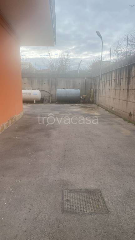 immagine annuncio 12 di 13