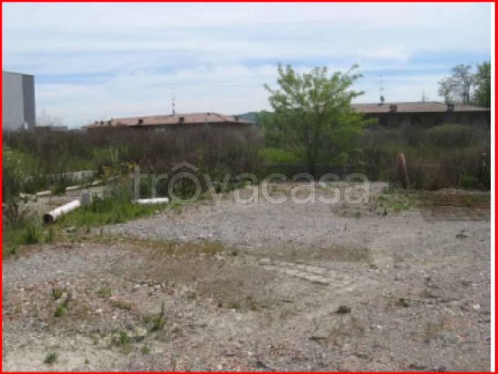 immagine annuncio 2 di 12