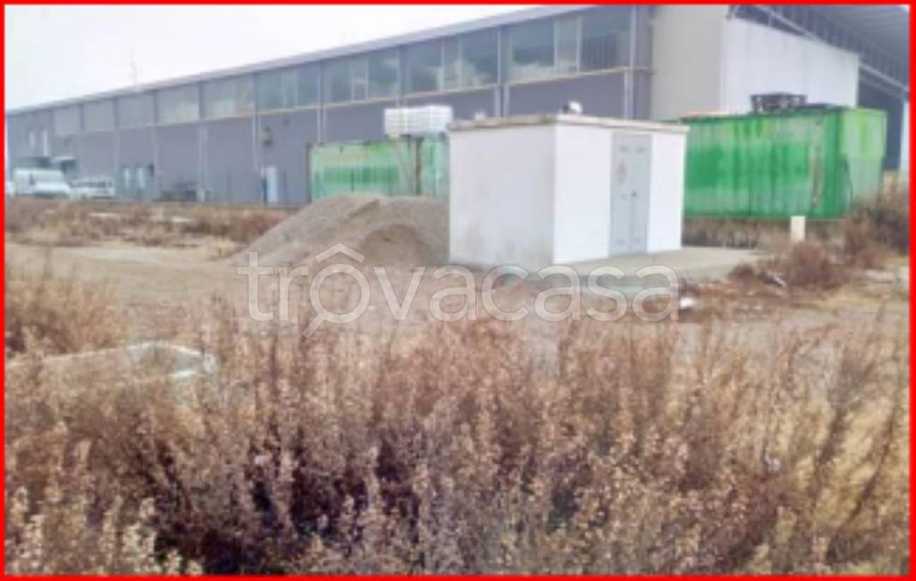 immagine annuncio 5 di 12