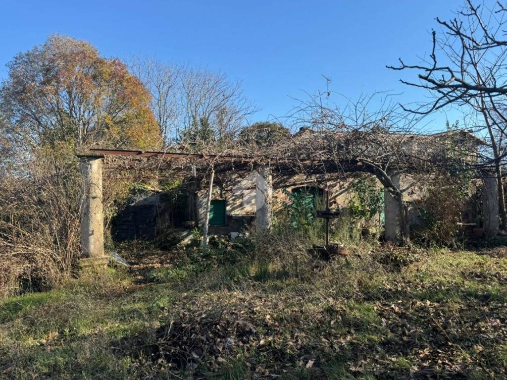 immagine annuncio 2 di 13