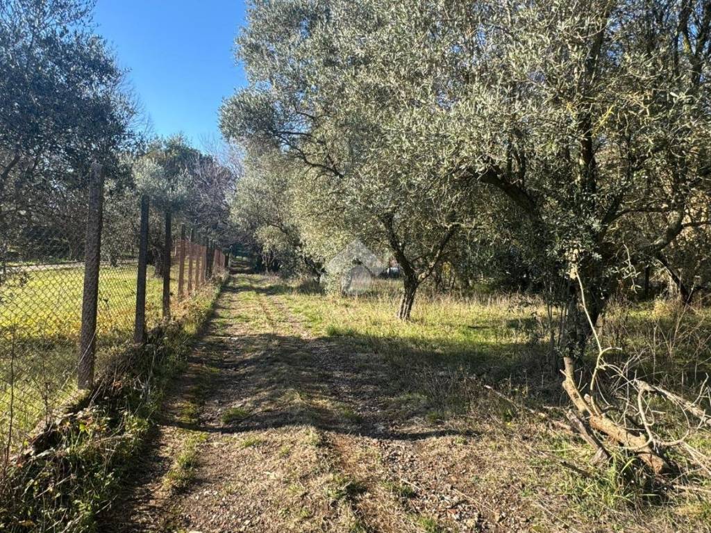 immagine annuncio 4 di 13