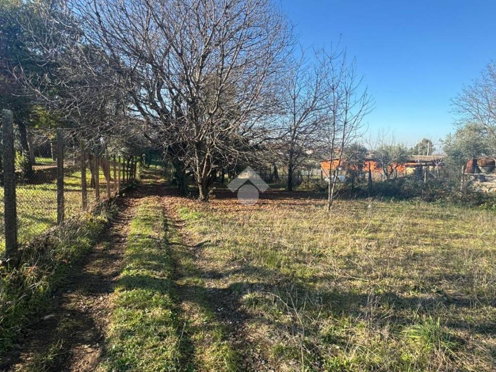 immagine annuncio 6 di 13